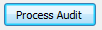 2. Click on Process Audit