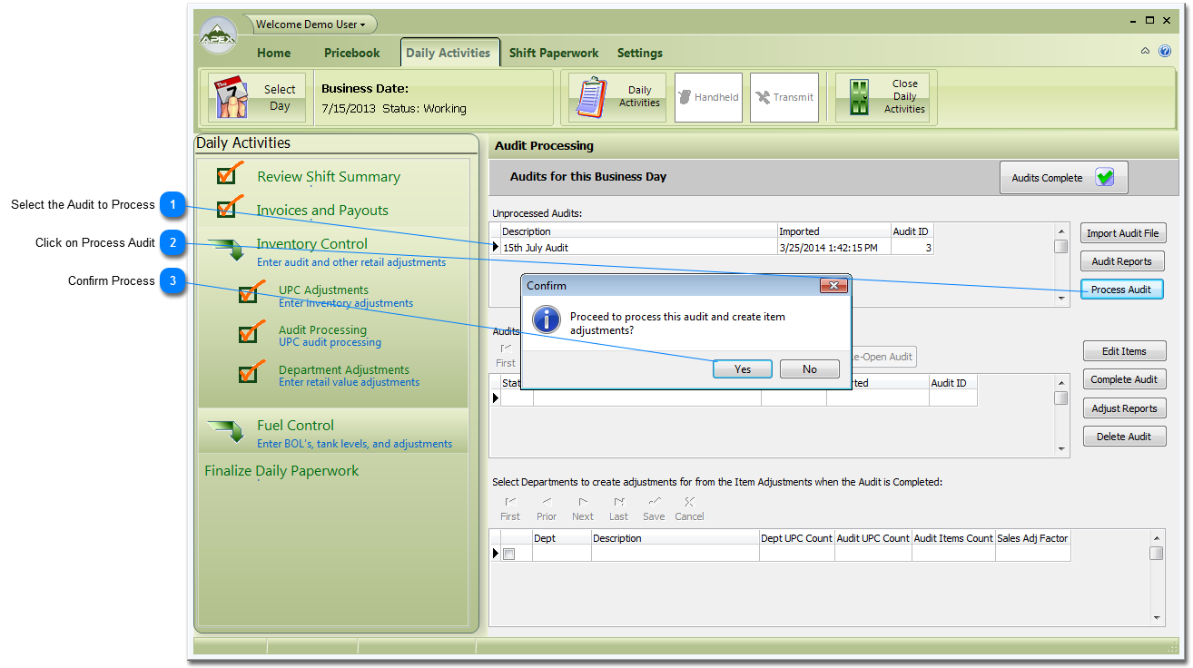 Process the Audit File